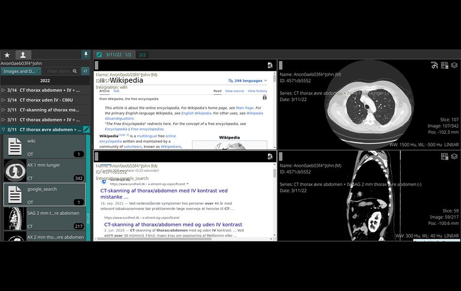 Viewing Webpage in Viewport image.