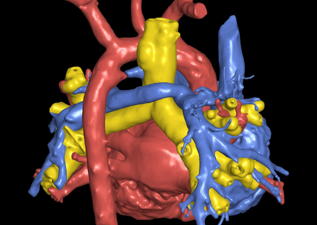 Advanced Clinical Workflows, Additional Apps, 3D Printing image.