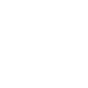 LinkedIn Icon